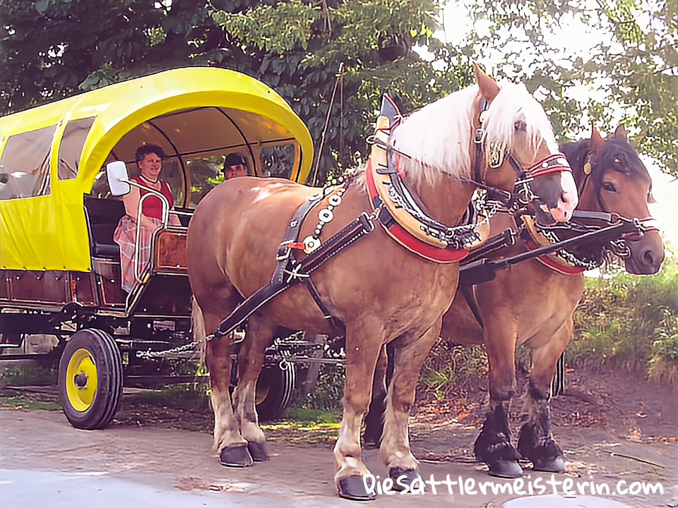Kundenfotos Geschirre Kundenfotos Geschirre