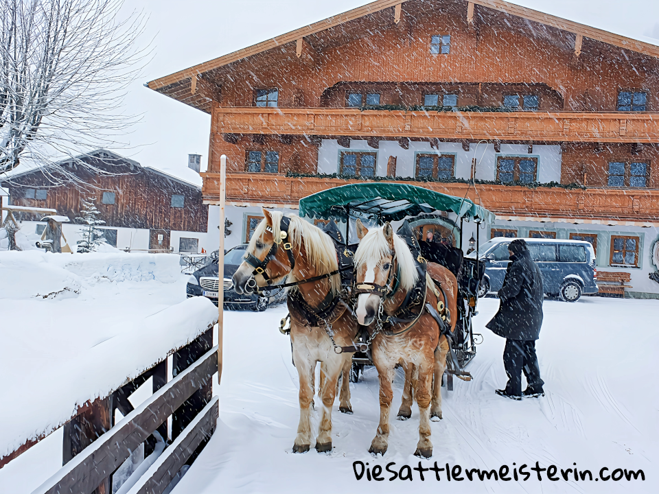 Kundenfotos Geschirre Kundenfotos Geschirre