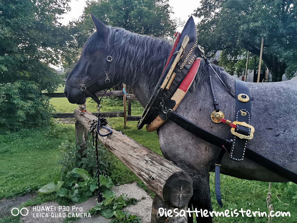 Kundenfotos Geschirre Kundenfotos Geschirre