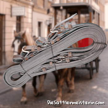 Reit und Fahrzügel, Foto August Aust Reit und Fahrzügel, Foto August Aust