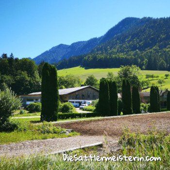 Pferdefreunde Zloam. Foto August Aust Pferdefreunde Zloam. Foto August Aust