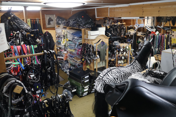 Reitsportartikeln -50% in der Sattlerei Koch Reitsportartikeln -50% in der Sattlerei Koch