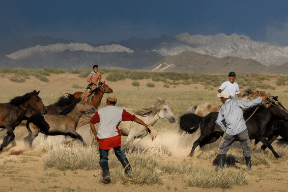 Reitsport Info. Reiten in der Mongolei Reitsport Info. Reiten in der Mongolei