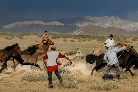 Reitsport Info. Reiten in der Mongolei