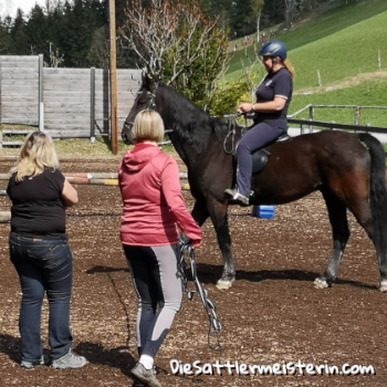 Probereiten in Altenmarkt Probereiten in Altenmarkt