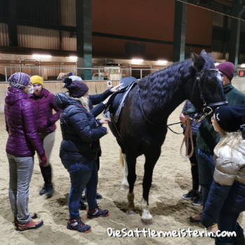 Sattelanprobe in Ebensee Sattelanprobe in Ebensee