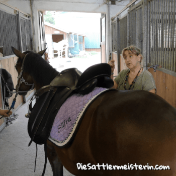 Sattelanprobe in Atzbach Sattelanprobe in Atzbach