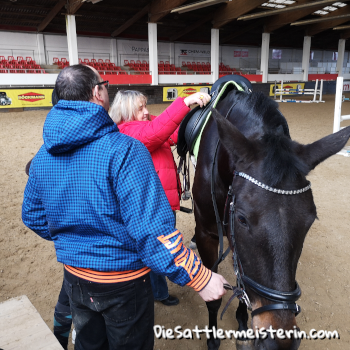 Sattelanprobe in Linz Sattelanprobe in Linz