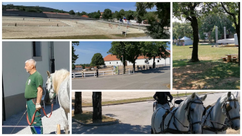 Gestüt Lipica. Fotos: August Aust Gestüt Lipica. Fotos: August Aust