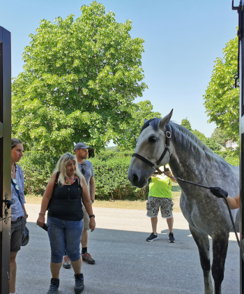 Jubiläumsstall in Lipica. Foto: August Aust Jubiläumsstall in Lipica. Foto: August Aust