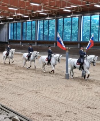 Quadrille, Vorführung in Lipica. Foto: August Aust Quadrille, Vorführung in Lipica. Foto: August Aust