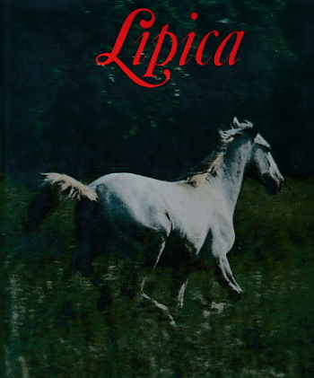 Buch Lipica von Milan Dolenc Buch Lipica von Milan Dolenc