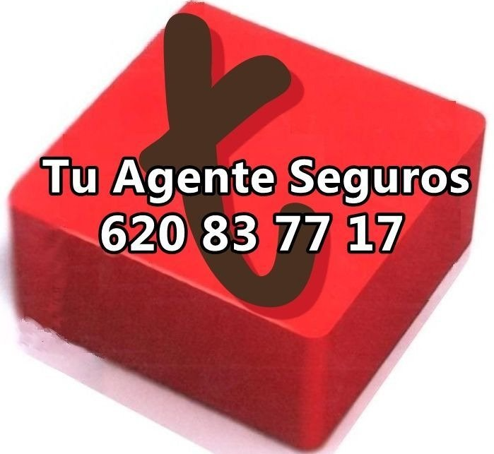 Tu Agente Seguro - Logo
