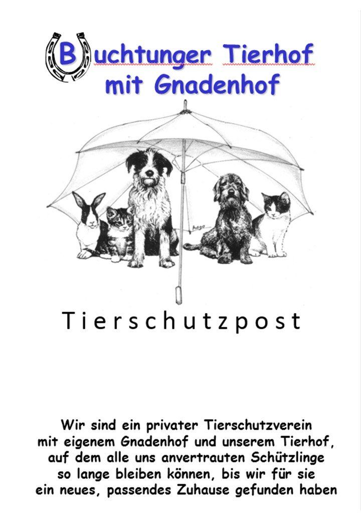 Katze beim Arzt