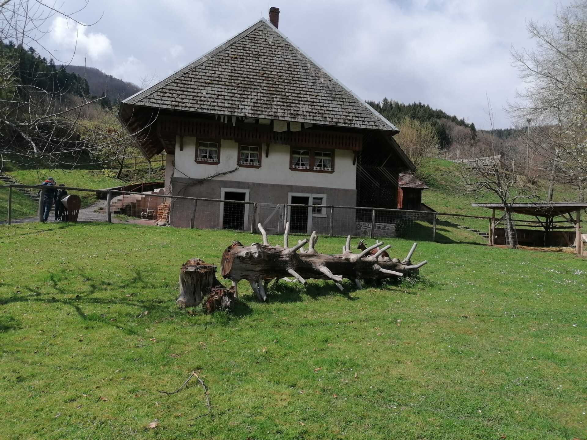 Vogtsbauernhof 2022