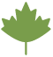 Maple leaf icon for Blossom business growth