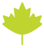 Maple leaf icon for seed business growth