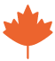 Maple leaf icon for Shoot business growth
