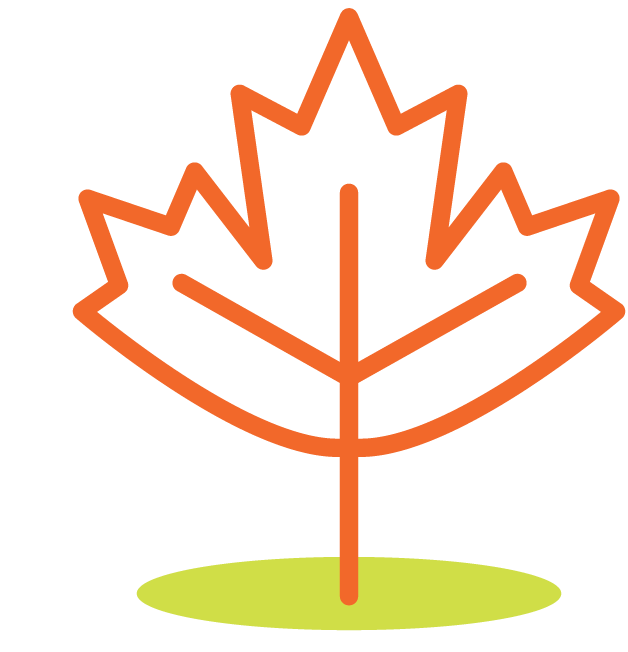 Maple leaf icon - depicting business growth