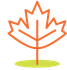 Maple leaf icon - depicting growing a business