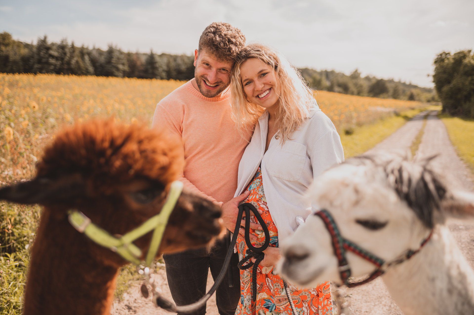 Photo by rosa&mint Fotografie / @_christelle___(Instagram) Fotoshooting Alpakas Westheide Alpakas