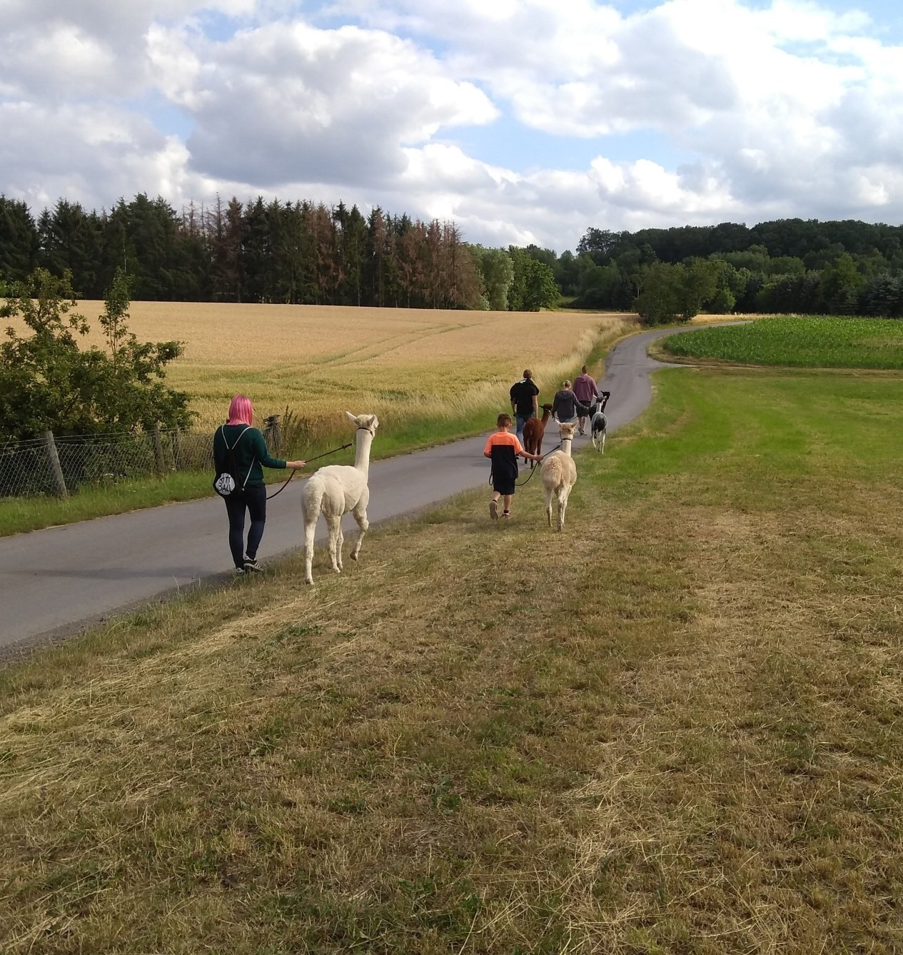 Alpaka-Wanderung NRW