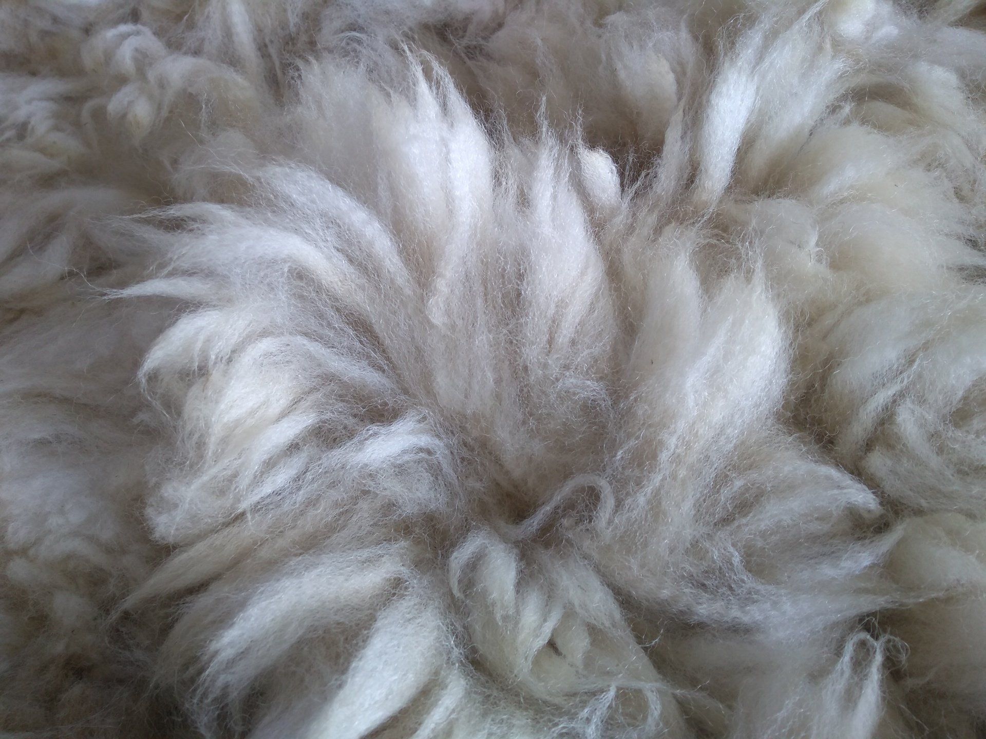 Alpakawolle, Alpaka-Rohwolle,