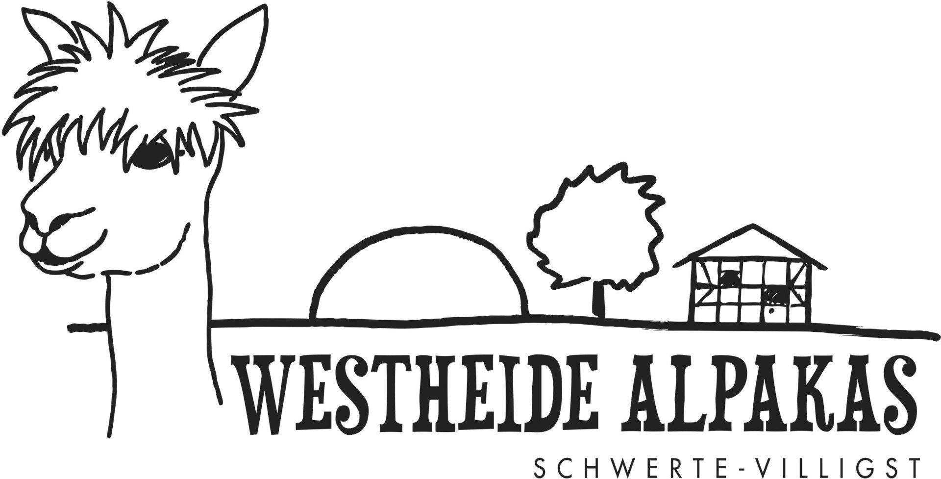 Westheide-Alpakas