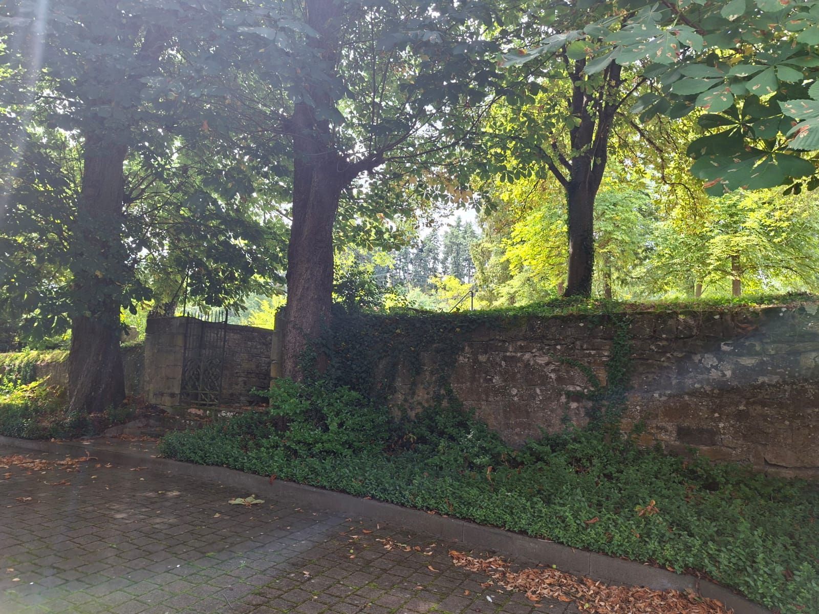 Foto des alten Friedhofs in Gangloff