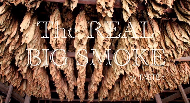 Oktoberfest - TASTEit Wies`n 2023