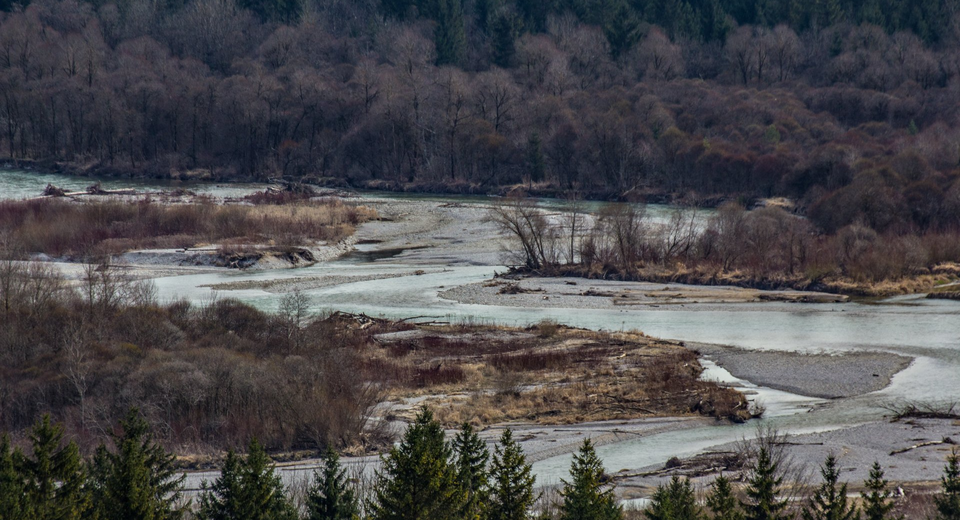 Isar Auen Anfang Frühling Bayerische Landschaft Isar Auen Anfang Frühling Bayerische Landschaft