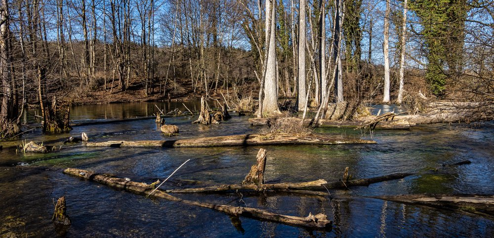 Reismühle in Gauting Reismühle-in-Gauting