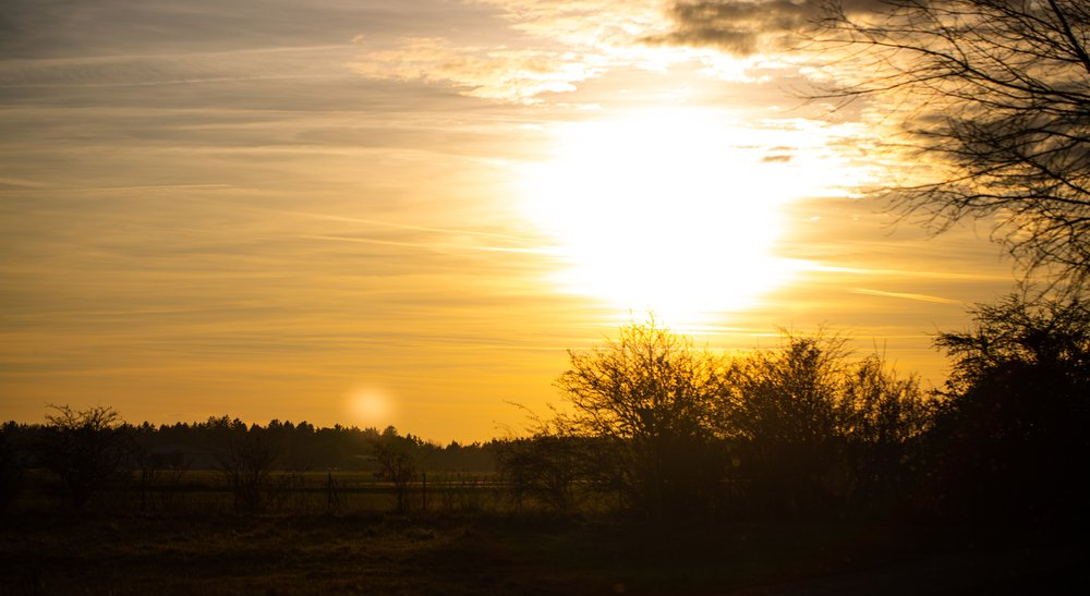 Heidepfad Unterschleißheim Heidepfad-in-Unterschleissheim