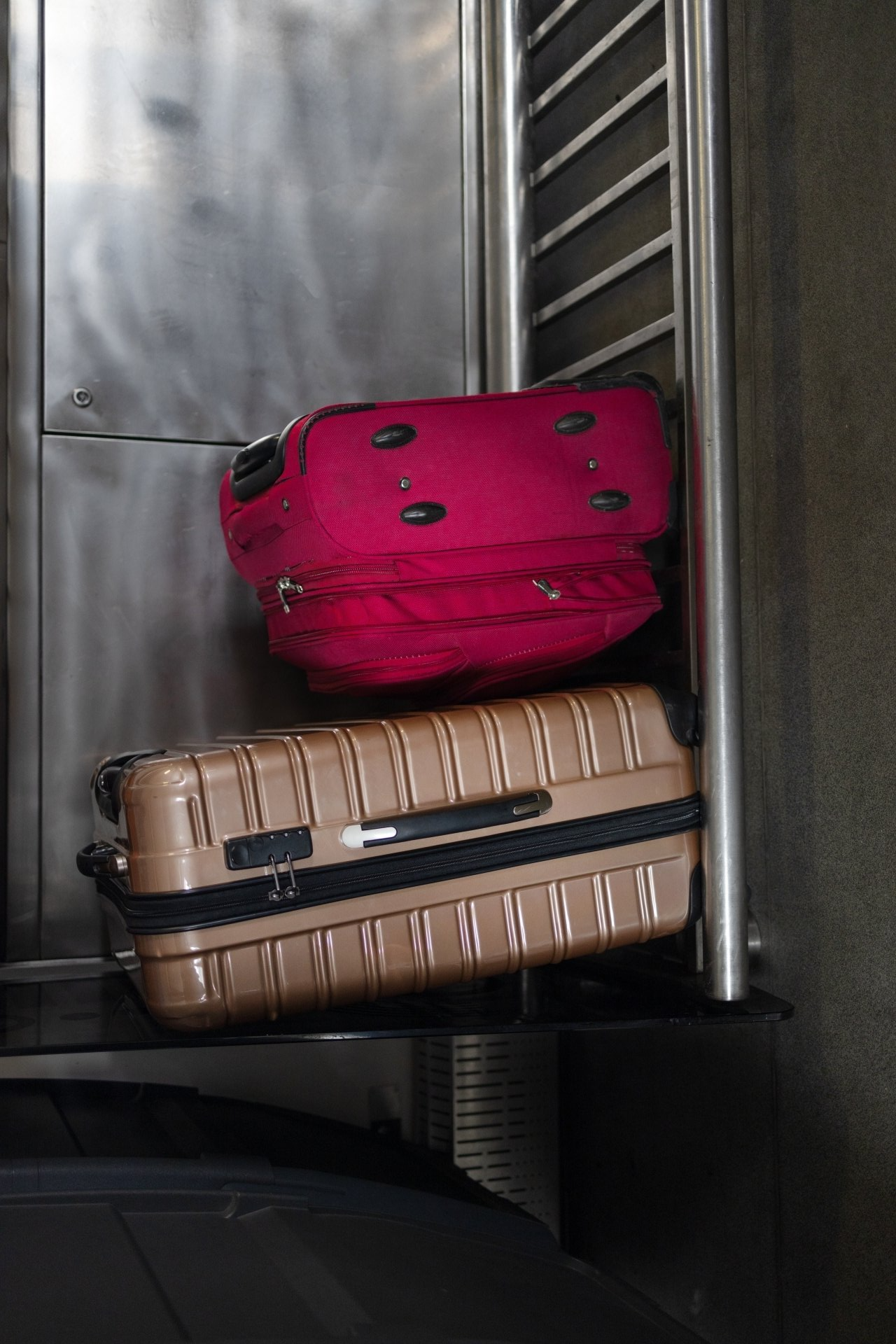 Bettwanzen im Koffer Koffer