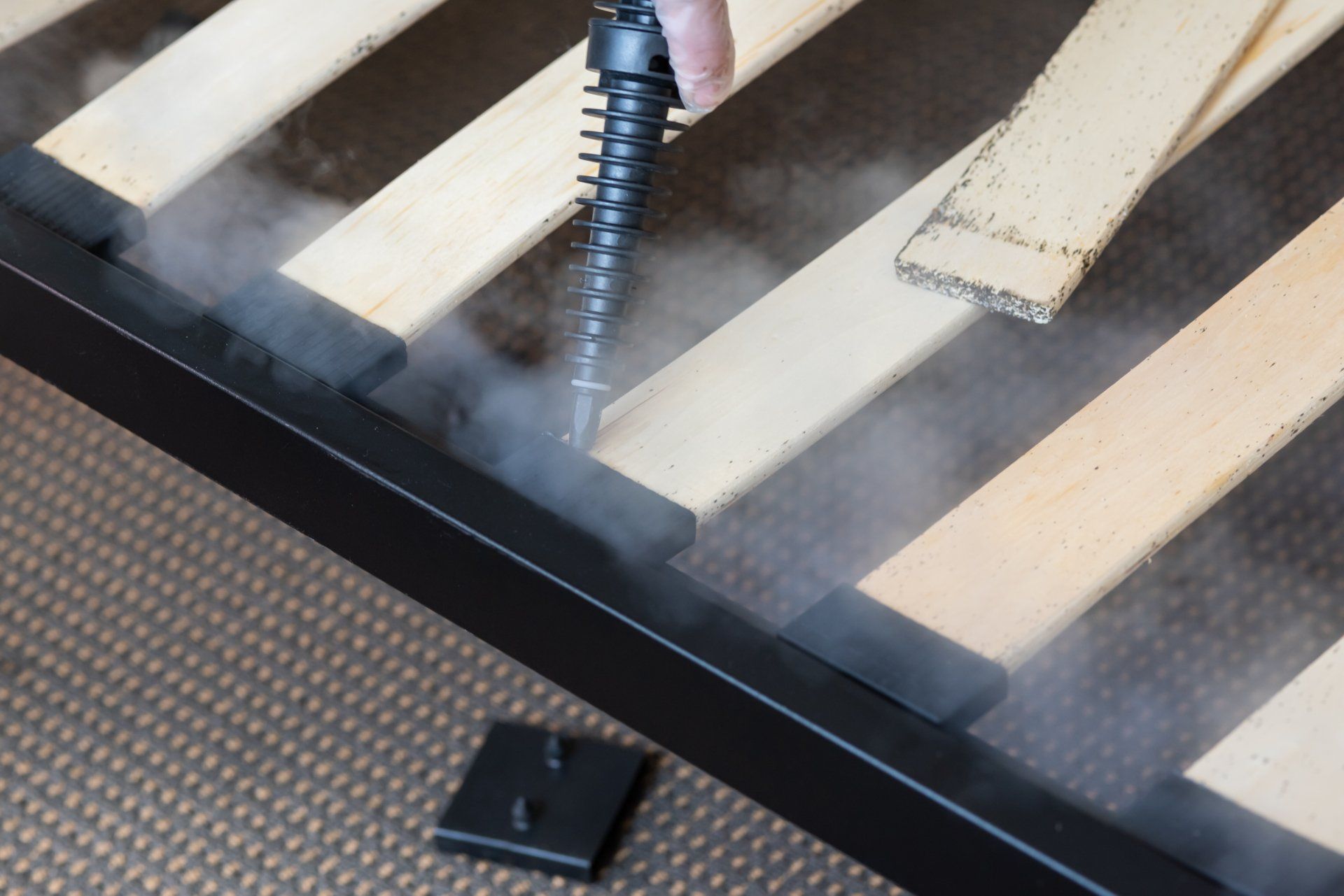 Bettwanzen Behandlung Bettwanzen Behandlung