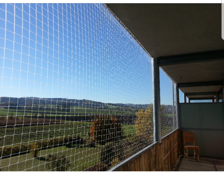 Taubennetze Taubennetze