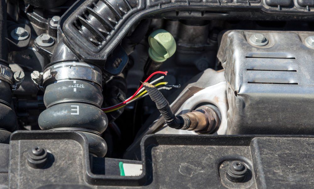 Marderschäden am Auto Marderschäden am Auto