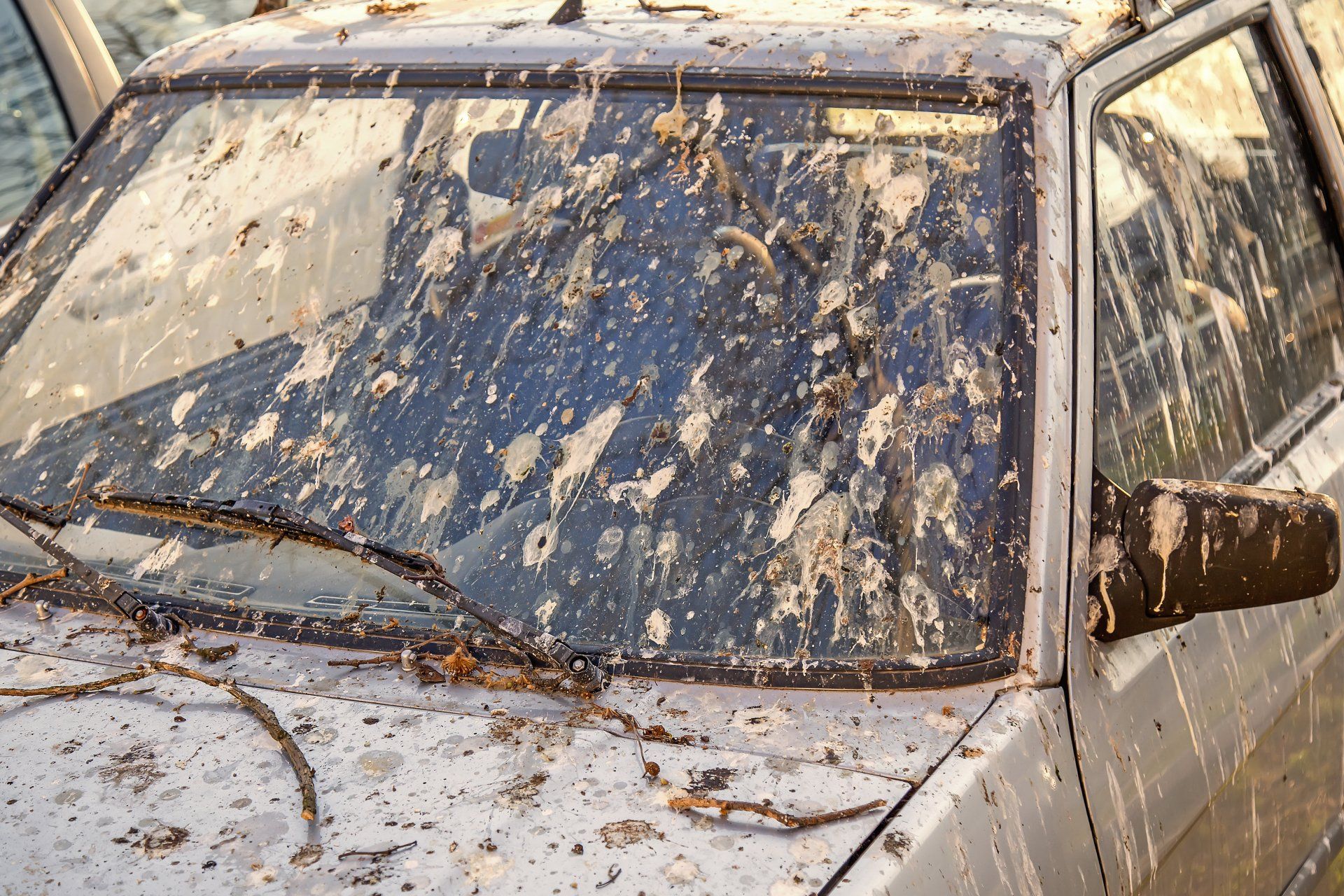 Taubenkot auf dem Auto Taubenkot