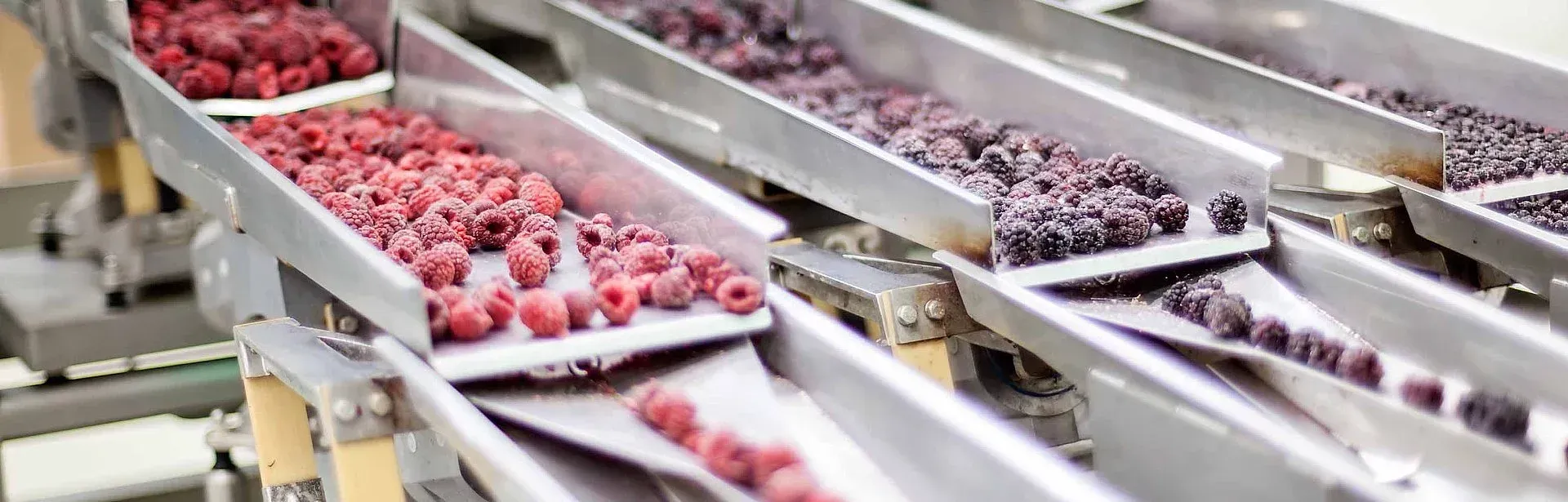 Lebensmittelindustrie Lebensmittelindustrie