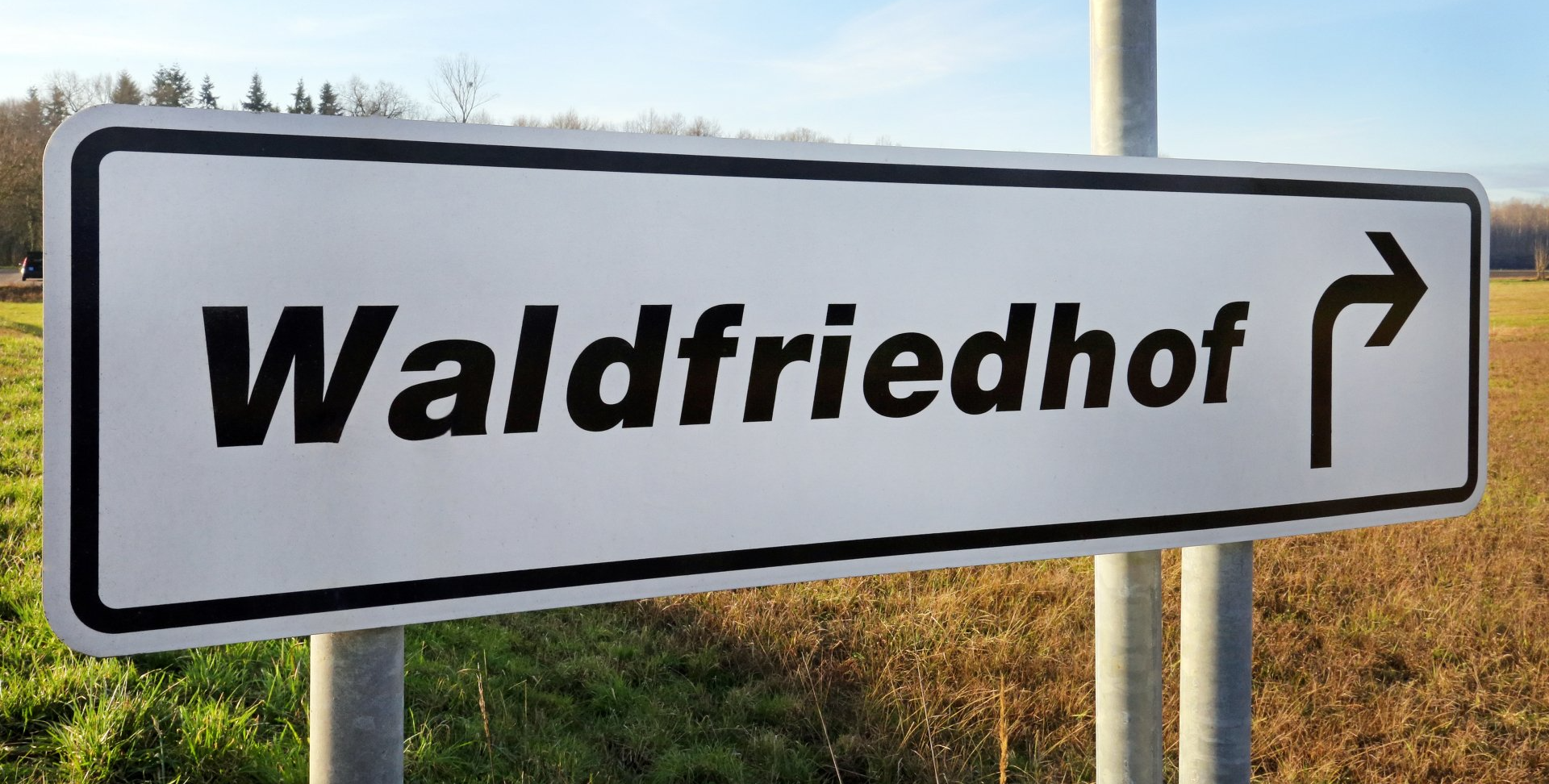 Waldfriedhof Waldfriedhof