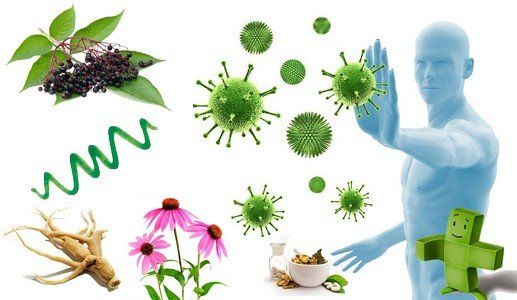 SUPPORTO IMMUNITARIO - Negozio PARTNER.CO