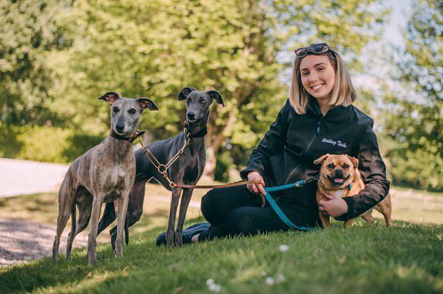 Wedding Tails & Events