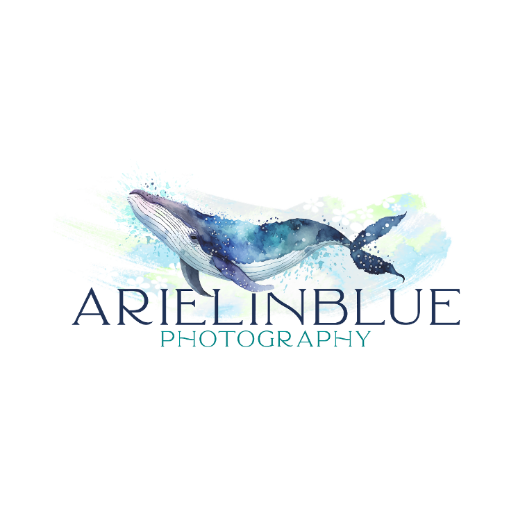 Arielinblue Photography logo