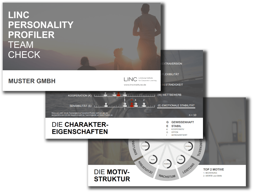 Team-Check Team-Check