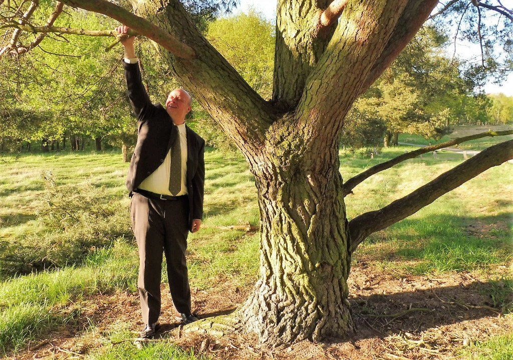 Volker Rüder, Veränderungen, Change Management, Digitalisierung, Umwelt, Sand, Düne, Himmel