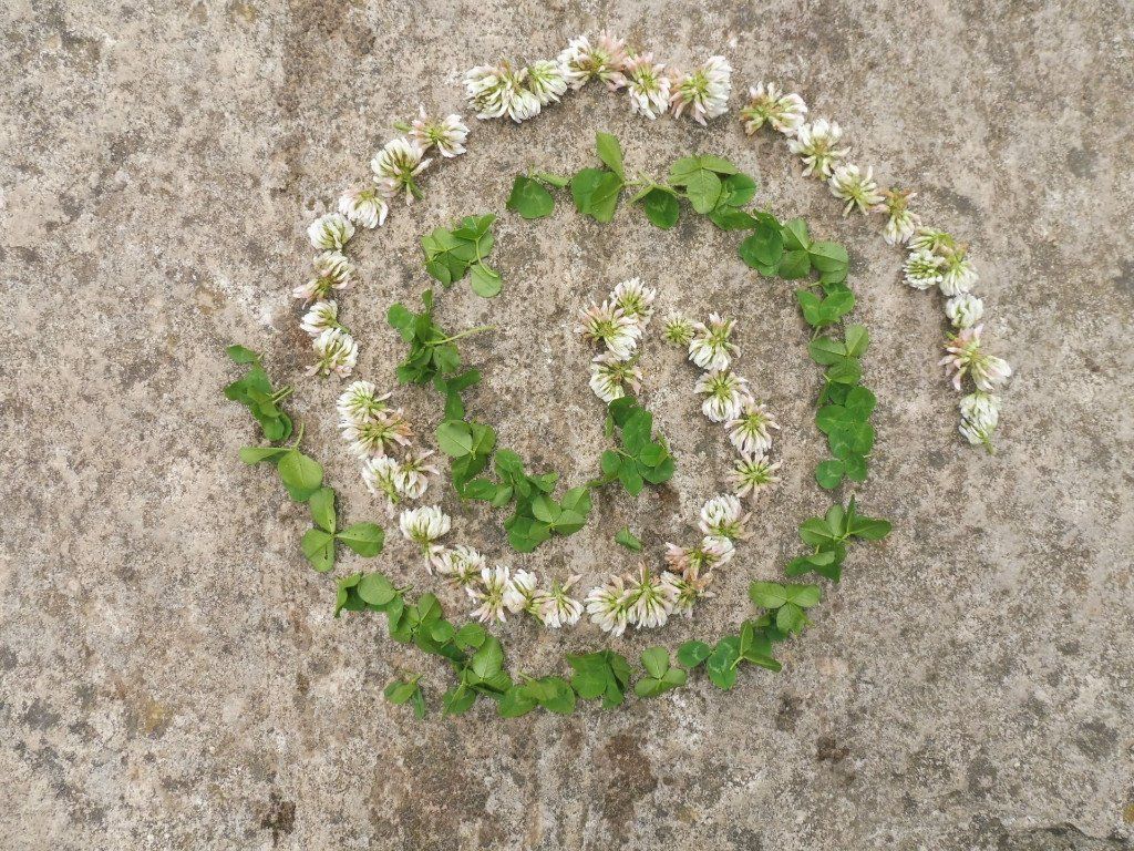 Ermutigung Natur, Hamburg, Bergedof, Umwelt, Digtal, New Work