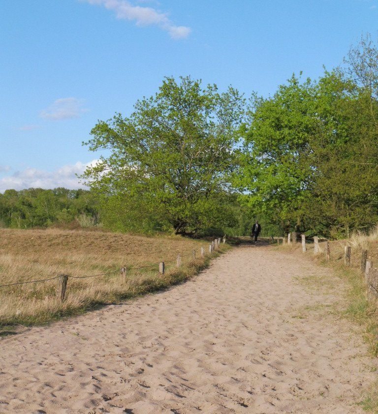 Jeder Weg beginnt mit dem ersten Schritt! Coaching in Hamburg, Coaching sozial, Coaching Kita, Coaching Altenpflege, Führungskraft, Chef, Mitarbeiter,