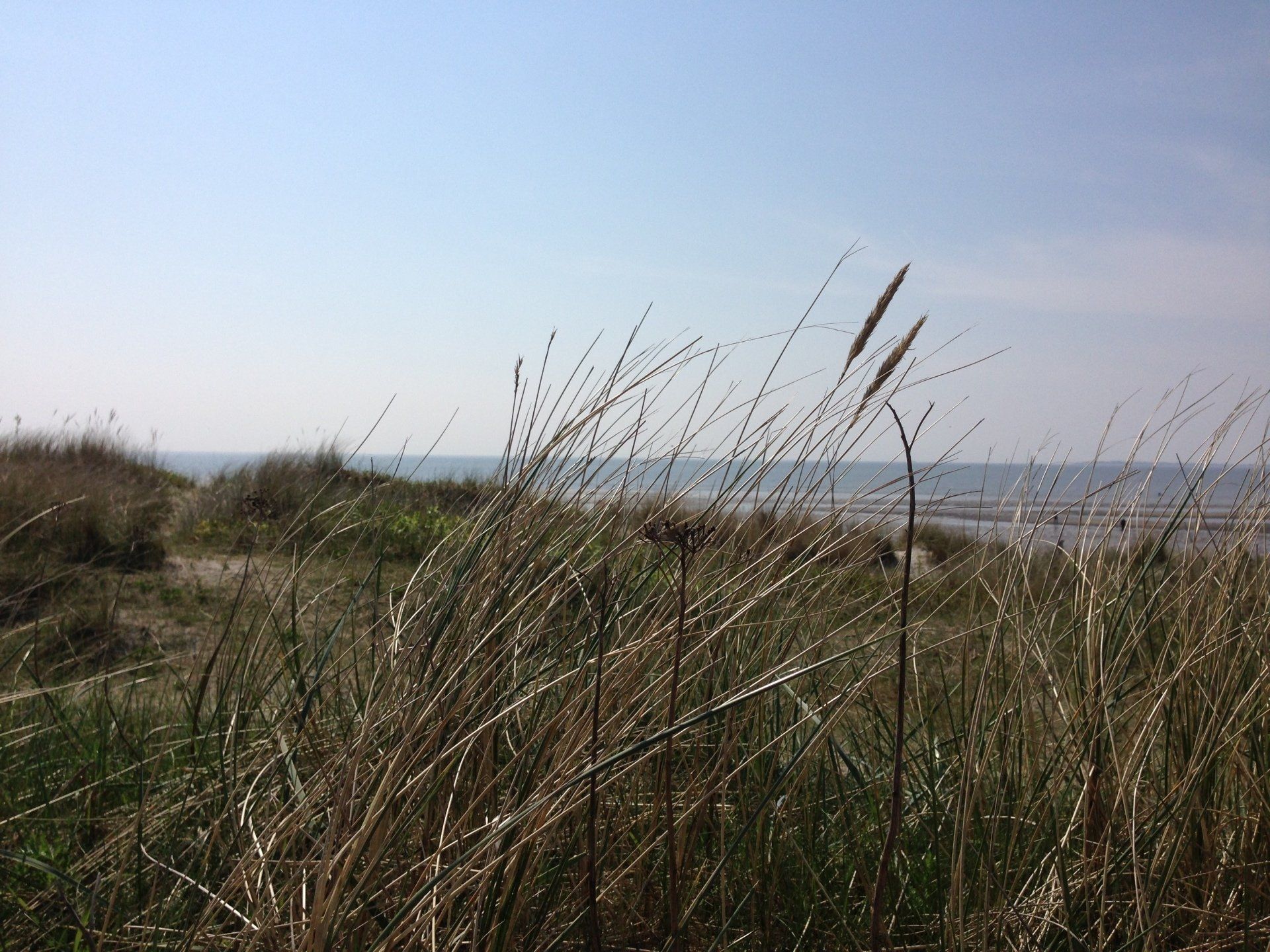 Dünen, Föhr, Amrum, Wattenmeer, Retreat Urlaub