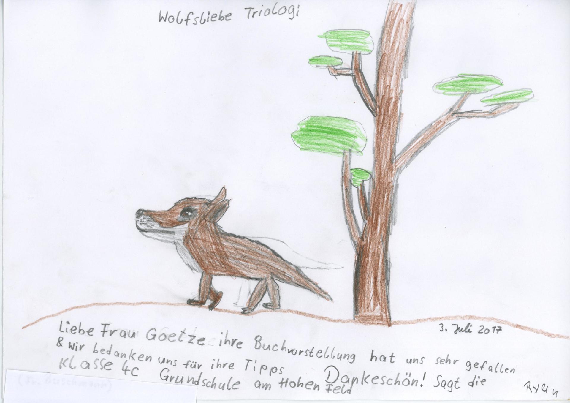 Das Bild eines Wolfes, gezeichnet von einer Schülerin. Das Bild eines Wolfes, gezeichnet von einer Schülerin. - Bücher, Trilogie, Fantasy, Romantasy, Werwolf, Schule, Schullektüre, Jugendbuch, Wolfsliebe.