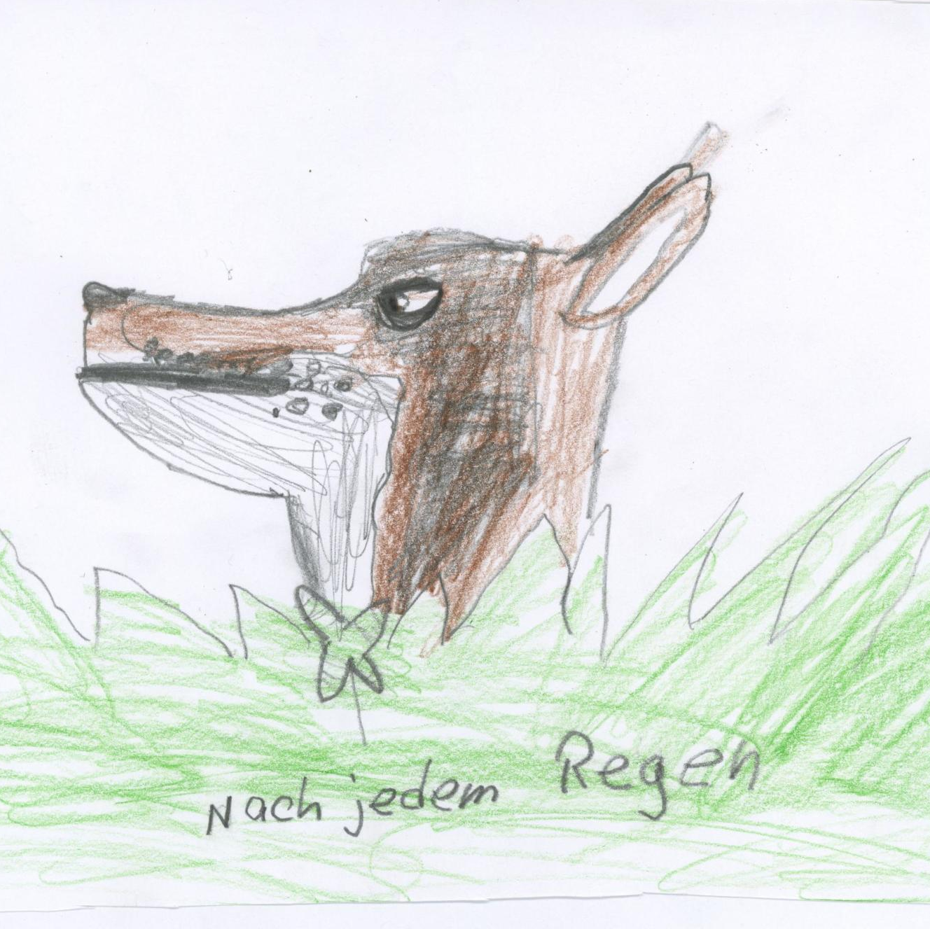 Bild eines Wolfes, gezeichnet von einer Schülerin. Bild eines Wolfes, gezeichnet von einer Schülerin. - Bücher, Trilogie, Fantasy, Romantasy, Werwolf, Schule, Schullektüre, Jugendbuch, Wolfsliebe.